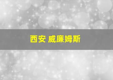 西安 威廉姆斯